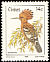 African Hoopoe Upupa africana  1986 Birds 