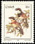 Cape Batis Batis capensis  1987 Birds 