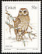 African Wood Owl Strix woodfordii  1991 Owls 