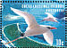 Red-tailed Tropicbird Phaethon rubricauda  1999 Living mosaic 20v sheet
