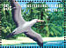 Masked Booby Sula dactylatra  1999 Living mosaic 20v sheet