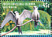 White Tern Gygis alba  1999 Living mosaic 20v sheet