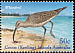 Eurasian Whimbrel Numenius phaeopus  2003 Shoreline birds Strip