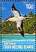 Masked Booby Sula dactylatra  2006 Coral reefs 20v sheet