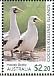 Masked Booby Sula dactylatra  2020 Booby birds Sheet