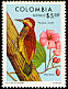Crimson-mantled Woodpecker Colaptes rivolii  1977 Colombian birds and plants 