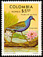 Purple Gallinule Porphyrio martinica