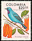 Plum-throated Cotinga Cotinga maynana