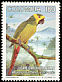 Yellow-eared Parrot Ognorhynchus icterotis  1994 Birds 