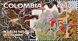 Channel-billed Toucan Ramphastos vitellinus  2002 Colombian nature richness Sheet