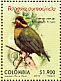 Gold-ringed Tanager Bangsia aureocincta  2010 Endangered birds Sheet