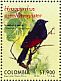 Red-bellied Grackle Hypopyrrhus pyrohypogaster  2010 Endangered birds Sheet