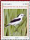 Pied Water Tyrant Fluvicola pica  2010 Atlantico 12v sheet