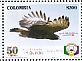 Black-and-chestnut Eagle Spizaetus isidori  2016 Quindio 2v set