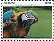 Blue-and-yellow Macaw Ara ararauna  2019 Putumayo 12v sheet