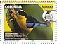 Blue-winged Mountain Tanager Anisognathus somptuosus