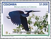 Agami Heron Agamia agami  2022 Cordoba 12v sheet