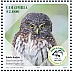 Andean Pygmy Owl Glaucidium jardinii  2023 Ornithological Society of Caldas, 70 years Sheet
