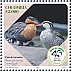 Torrent Duck Merganetta armata  2023 Ornithological Society of Caldas, 70 years Sheet