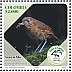 Brown-banded Antpitta Grallaria milleri