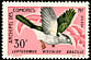 Cuckoo-roller Leptosomus discolor  1967 Birds 