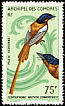 Malagasy Paradise Flycatcher Terpsiphone mutata  1967 Birds 