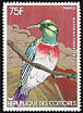 Anjouan Sunbird Cinnyris comorensis  1978 Birds 