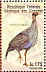 Vulturine Guineafowl Acryllium vulturinum  1998 Birds Sheet
