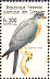 Shikra Accipiter badius  1998 Birds of prey Sheet