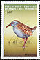 Water Rail Rallus aquaticus  1999 Birds 