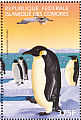 Emperor Penguin Aptenodytes forsteri