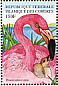 American Flamingo Phoenicopterus ruber