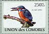 Common Kingfisher Alcedo atthis