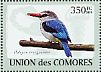 Woodland Kingfisher  Halcyon senegalensis