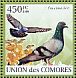 Rock Dove Columba livia  2009 Pigeons Sheet