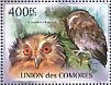 Long-whiskered Owlet Xenoglaux loweryi  2011 Owls, Philanippon Sheet