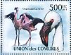 Lesser Flamingo Phoeniconaias minor  2011 Wading birds Sheet