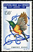 Regal Sunbird Cinnyris regius  1967 Birds 