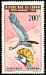 Grey Crowned Crane Balearica regulorum  1967 Birds 