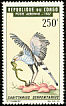 Secretarybird Sagittarius serpentarius  1967 Birds 