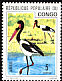 Saddle-billed Stork Ephippiorhynchus senegalensis  1976 Birds 