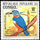 Common Kingfisher Alcedo atthis  1976 Birds 