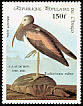 Scarlet Ibis Eudocimus ruber  1985 Audubon 