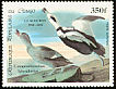 Labrador Duck Camptorhynchus labradorius †  1985 Audubon 