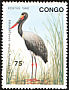Saddle-billed Stork Ephippiorhynchus senegalensis  1992 Birds 