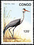 Wattled Crane Grus carunculata  1992 Birds 