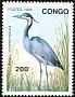 Black-headed Heron Ardea melanocephala