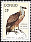 Rüppell's Vulture Gyps rueppelli  1993 Birds of prey 