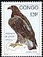 Verreaux's Eagle Aquila verreauxii