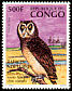 Marsh Owl Asio capensis  1996 Owls 